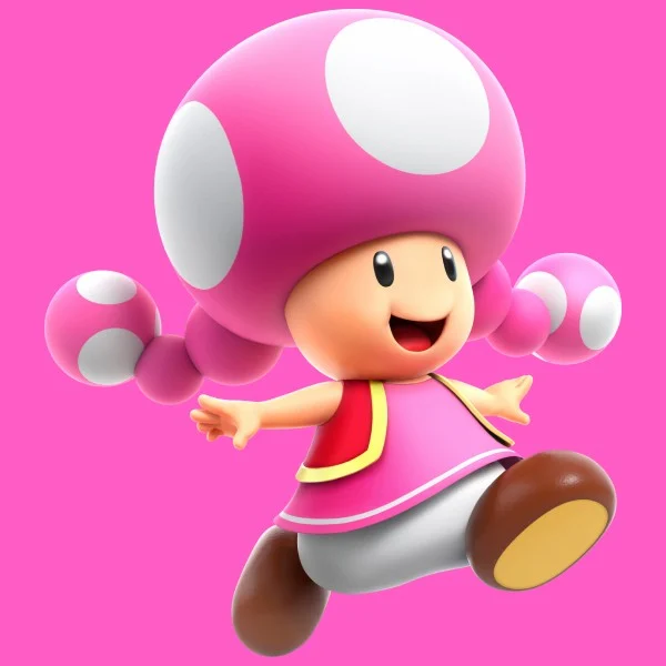 Toadette (Sam Kelly, Super Super Mario Series)