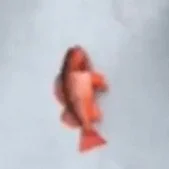 FISH! (You, Me, Gas Station)