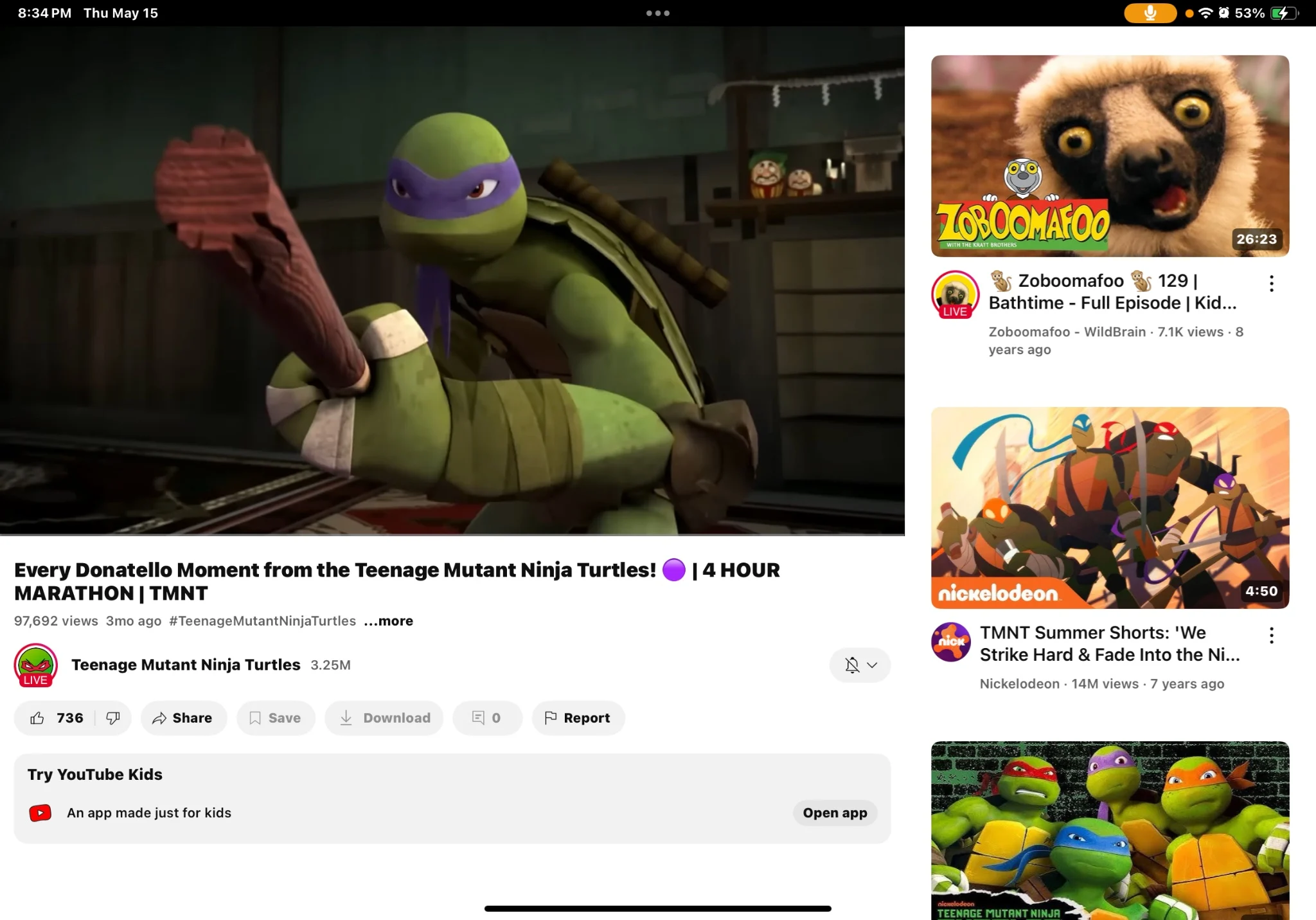 Donatello (TMNT 2012) (Rob Paulsen)