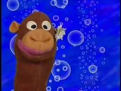 Jane The Monkey (Baby Einstein)