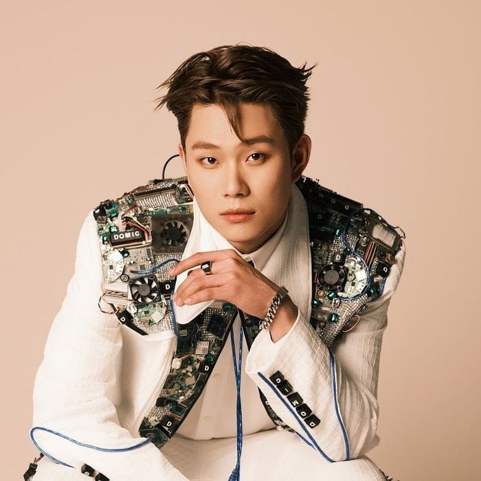Dương Domic (Reality Ver.)