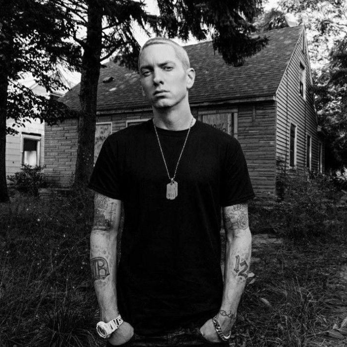 Eminem (Marshall Mathers LP2 - 2013)