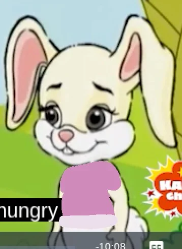 ROSIE THE RABBIT