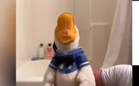 MAD Donaldducc