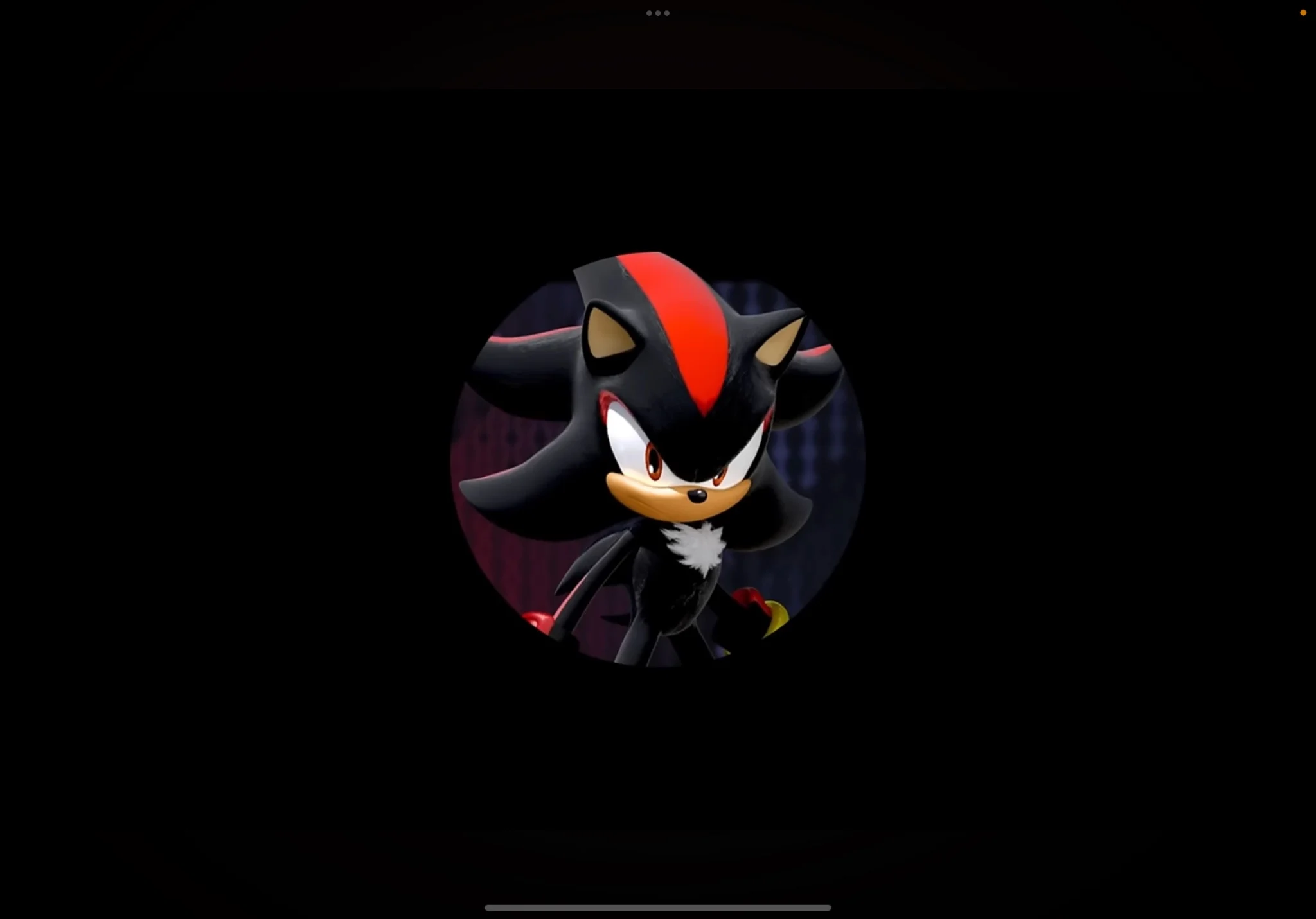 Shadow the Hedgehog (Jason Griffith) (SDS)