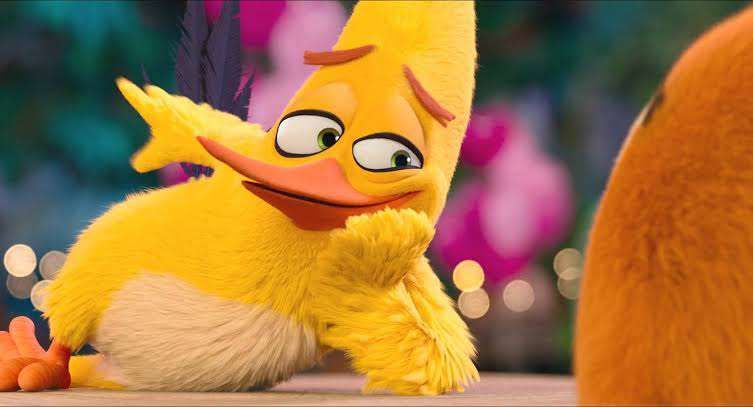 Chuck [The Angry Birds Movie] Latín América Spanish