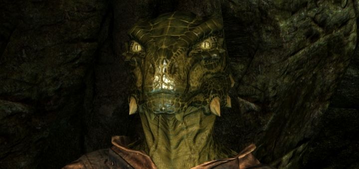 Argonian Male (Skyrim)