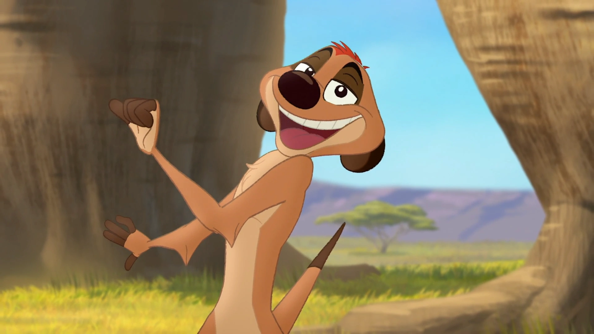 Timon (Disney Junior's The Lion Guard)