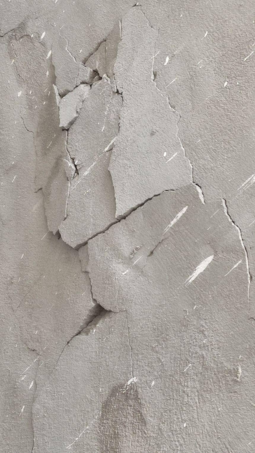 54