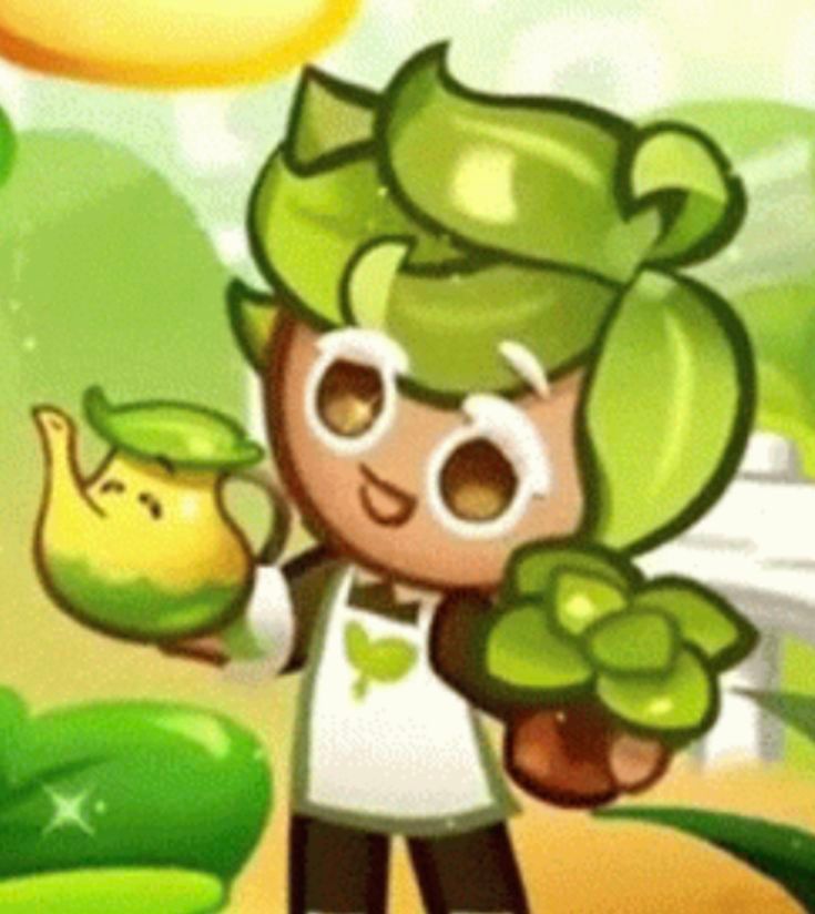 Herb Cookie (KR)