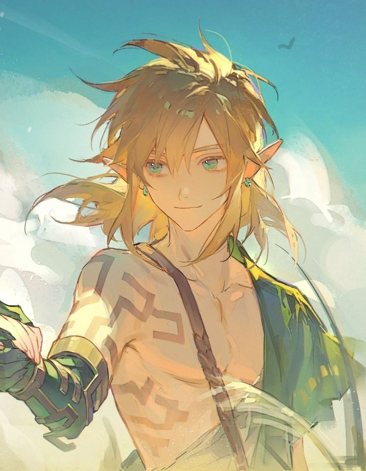 Link - BOTW & TOTK - Kengo Takanishi