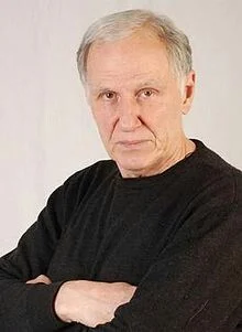 Виктор Костецкий
