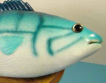 Frankie the fish