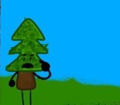 Tree (CAMP EVERGREEN) test
