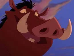 Pumba PT-BR