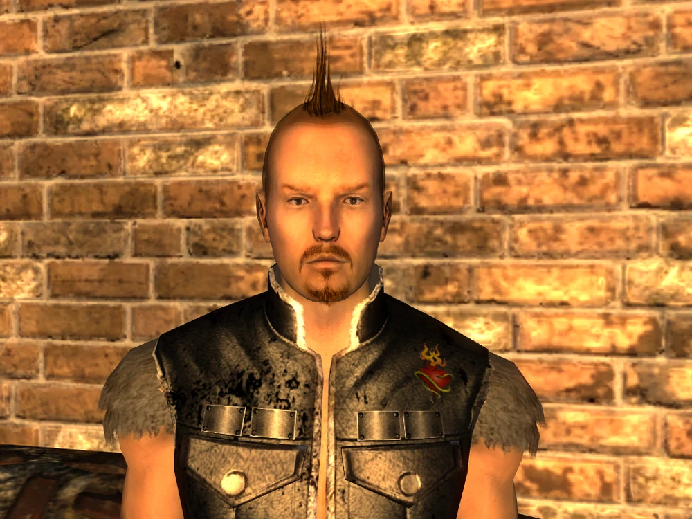 fallout new vegas (maleadult05)