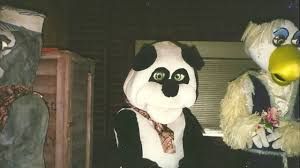 Rocky the panda
