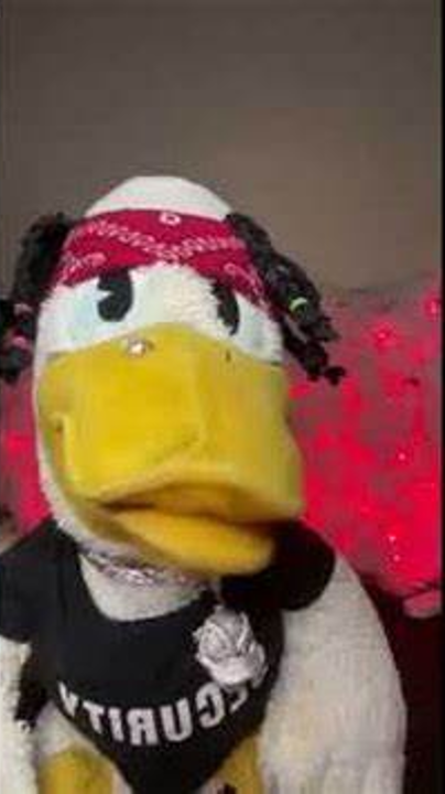 Hood Donald