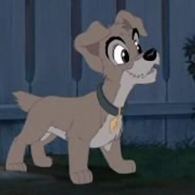 Scamp