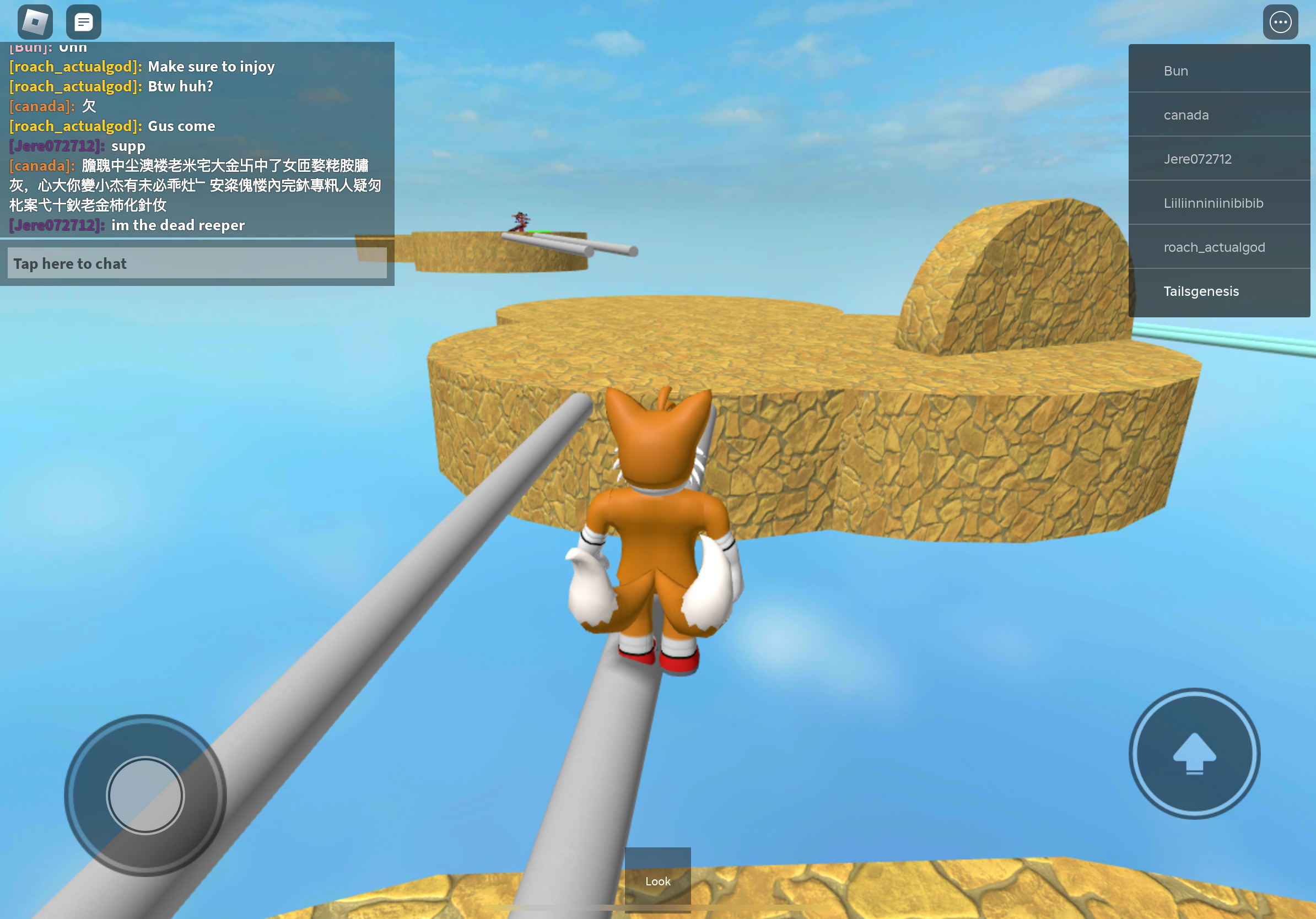 Literally just Roblox gameplay