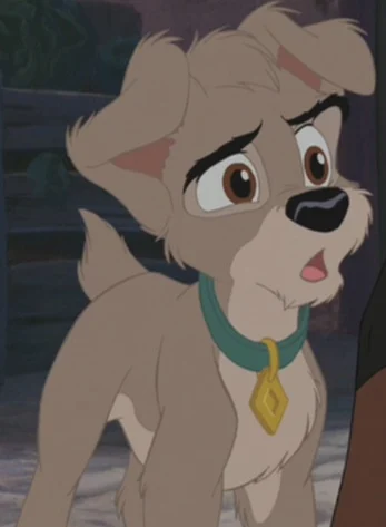 Scamp