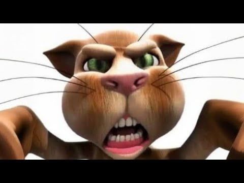 Leo Le Chat