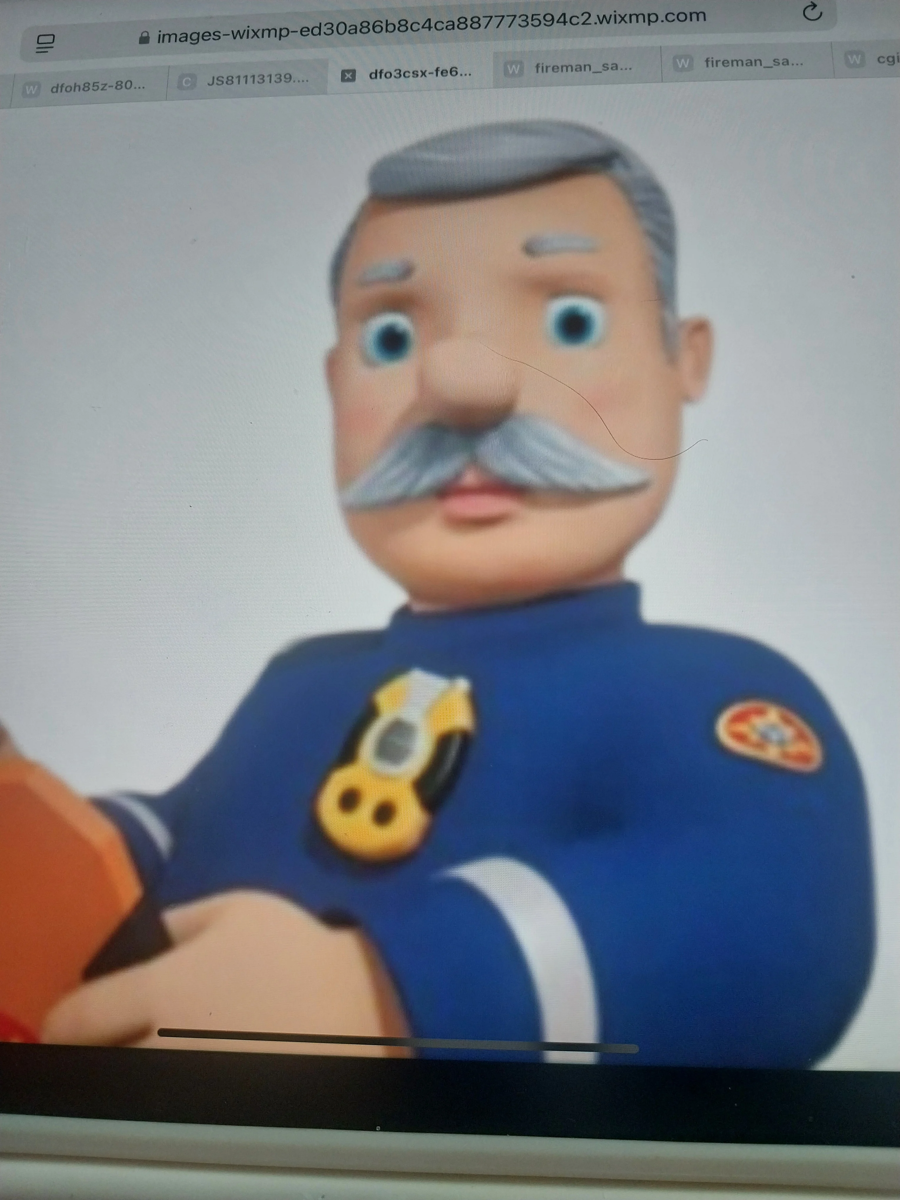 Station Officer Steele (David Carling)