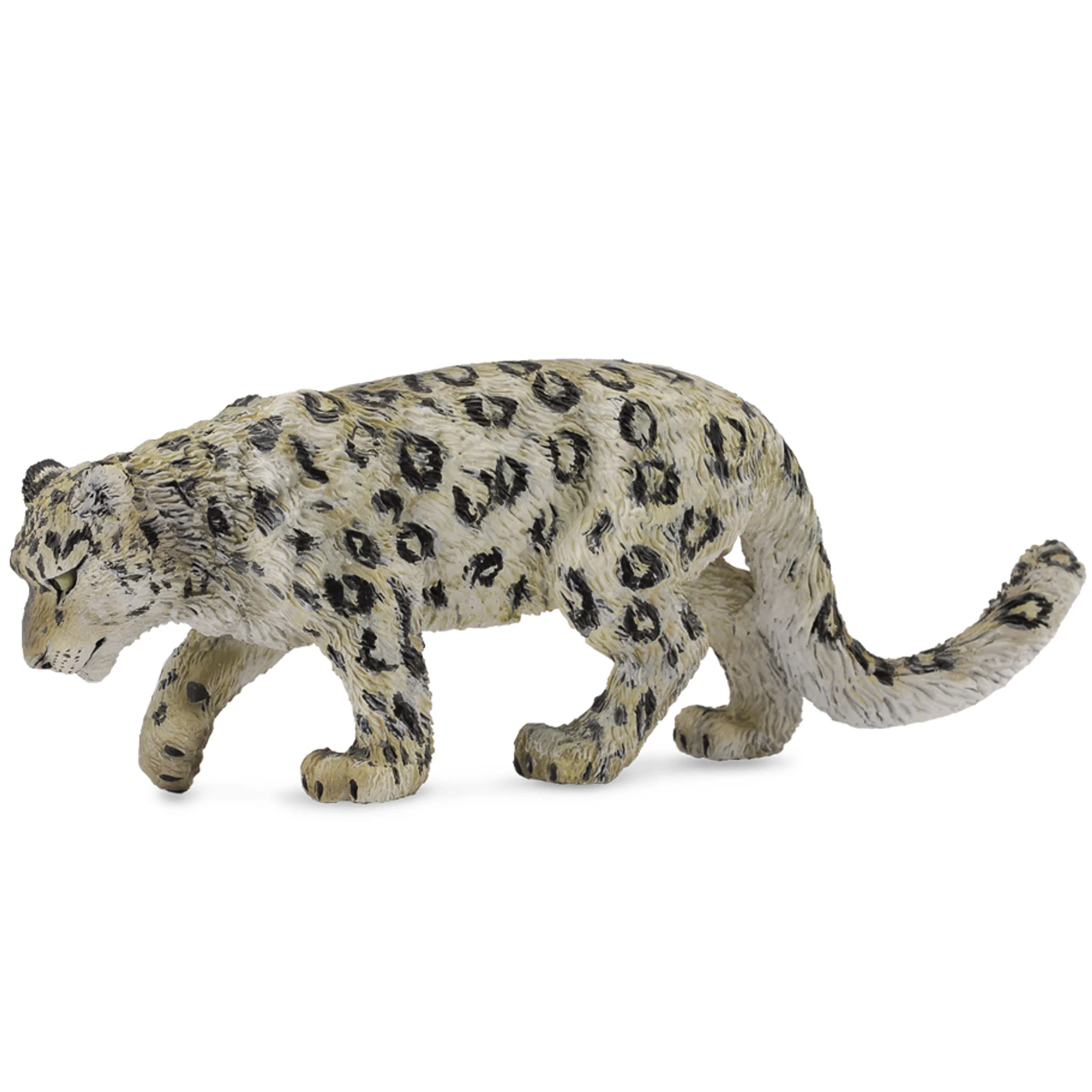 Tom The Snow Leopard