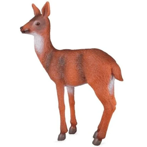 Arielle the Red Doe
