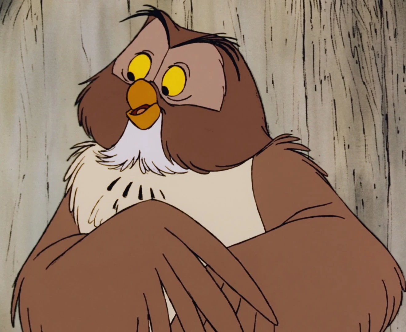 Owl (Ewan Mcgregor)