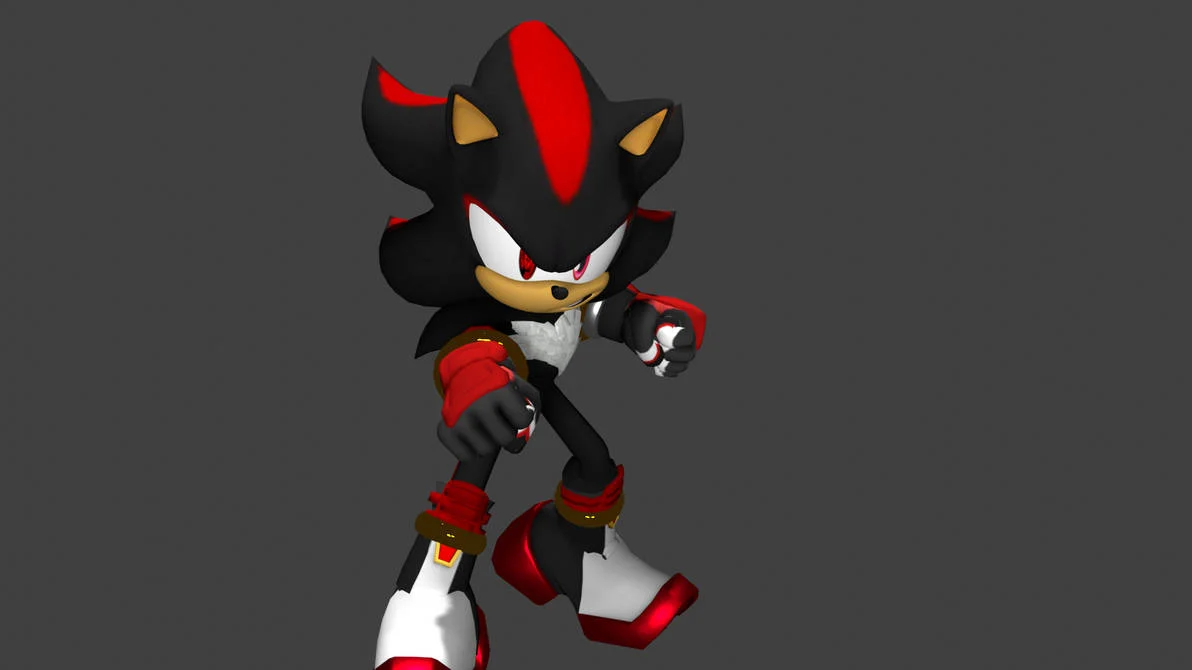Multiverse Shadow