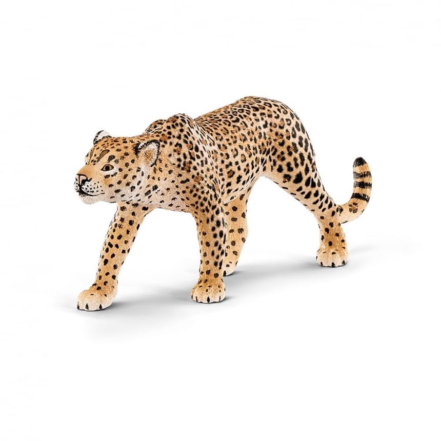 Prince Danny the leopard