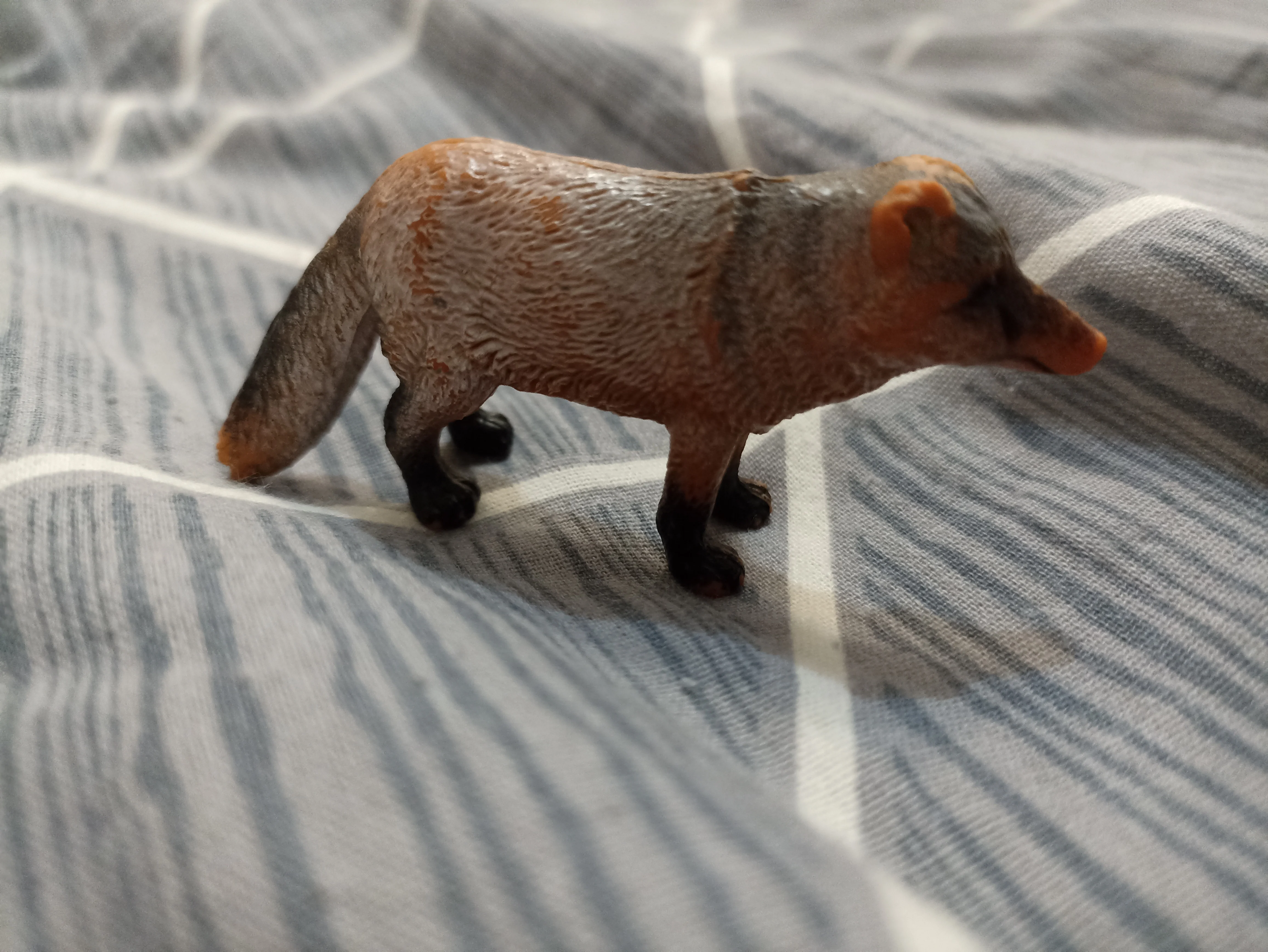 Jakey Paul The Wild Fox