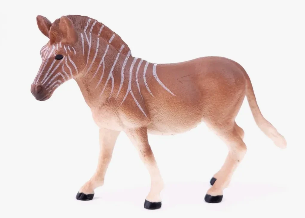 Siena The Quagga