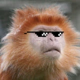 Dan dingle