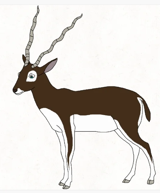 Prince Ken The Blackbuck 