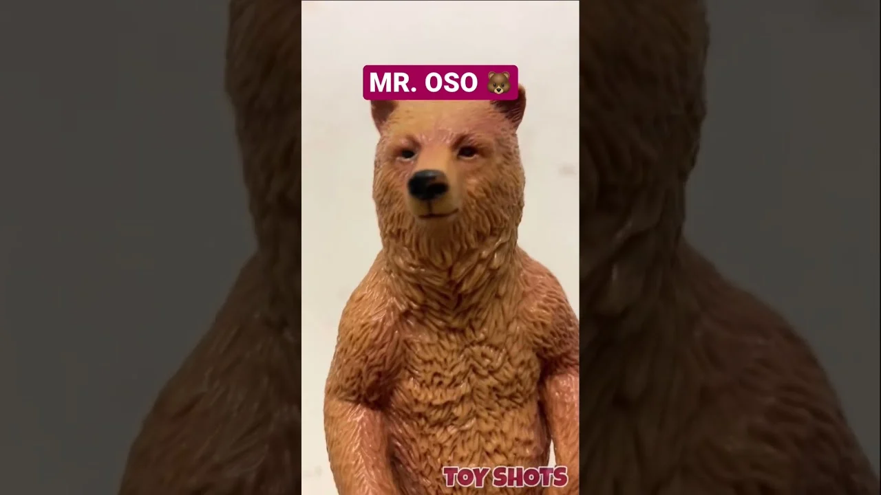 Mr. Oso (toy shots)