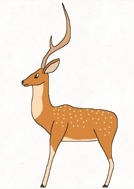 Marlin The Chital