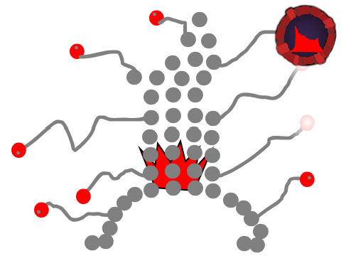  Cineris