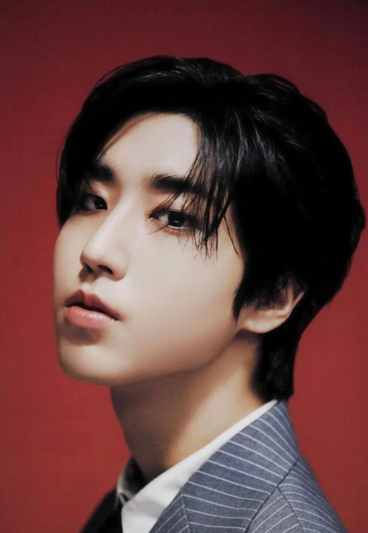 HAN (STRAY KIDS) VERSION 2
