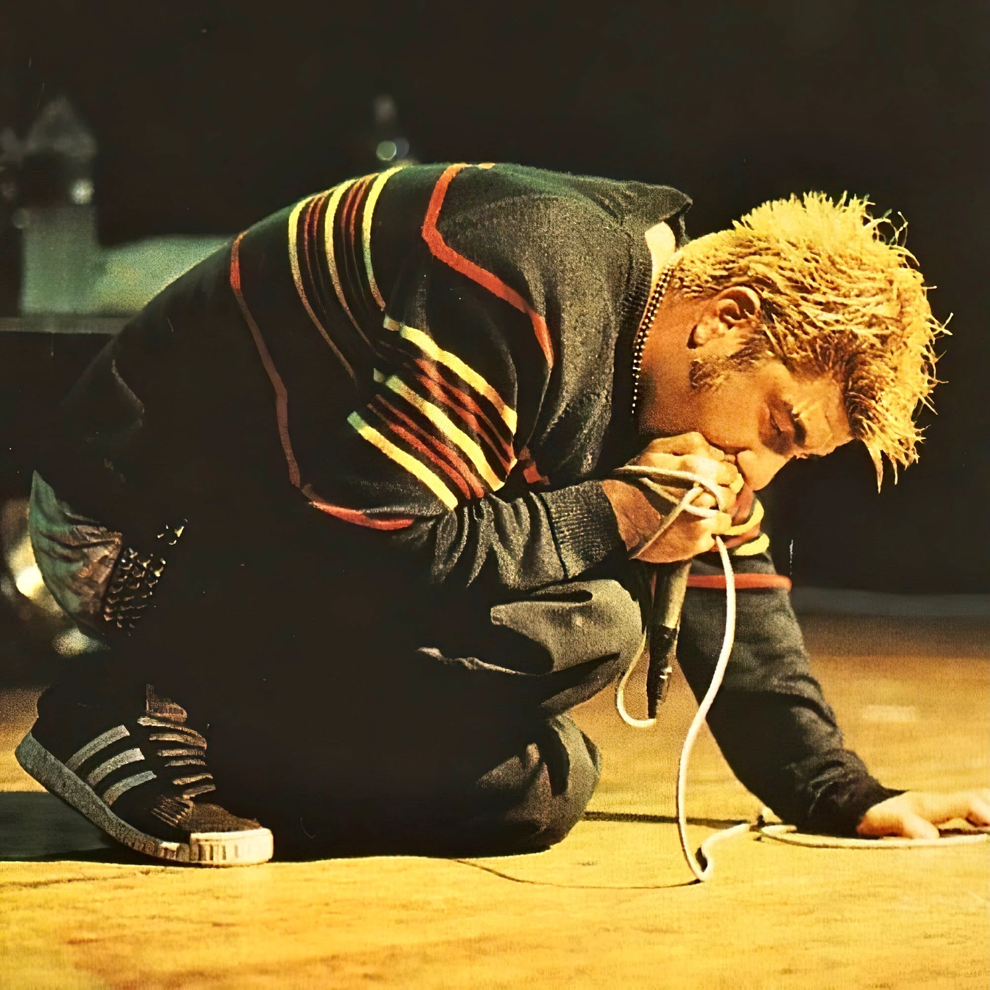 Chino Moreno (Around The Fur)