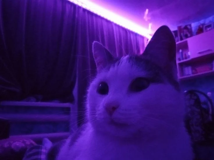 где же ты 