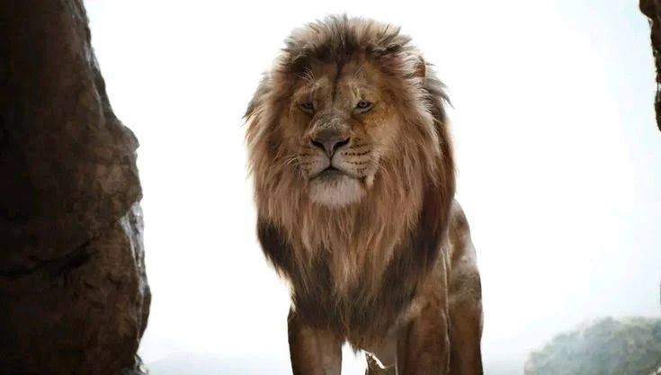 Mufasa (Sebastian Llapur) [FIXED]