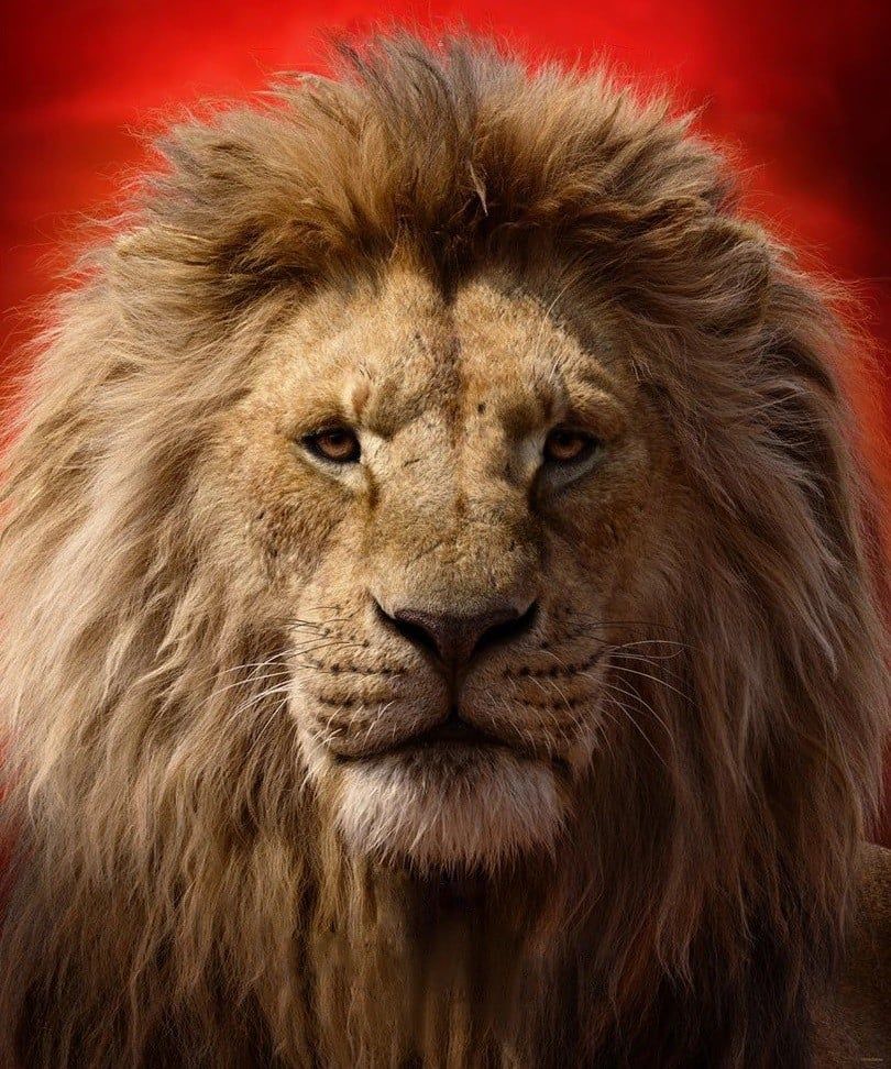 Mufasa (James Earl Jones) [FIXED]