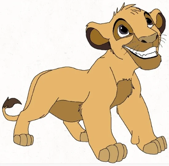 Chester The African lion cub