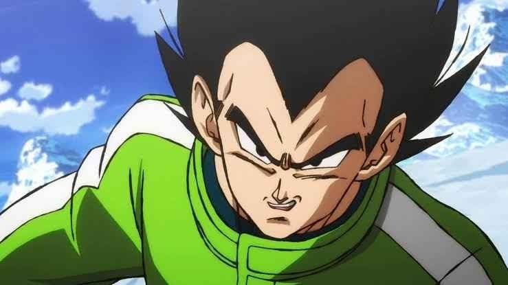 Vegeta latam
