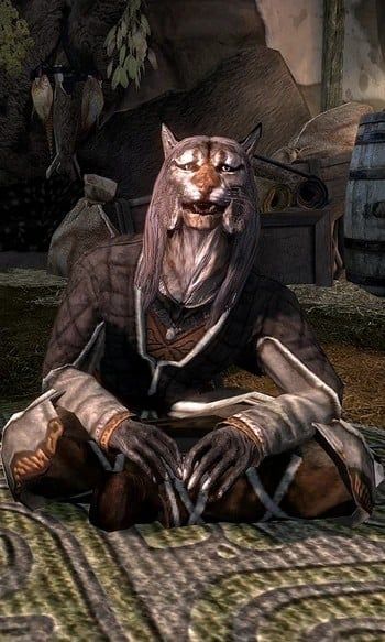 Male Khajiit (Skyrim)