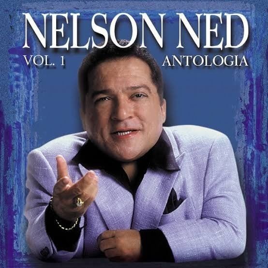 Nelson Ned