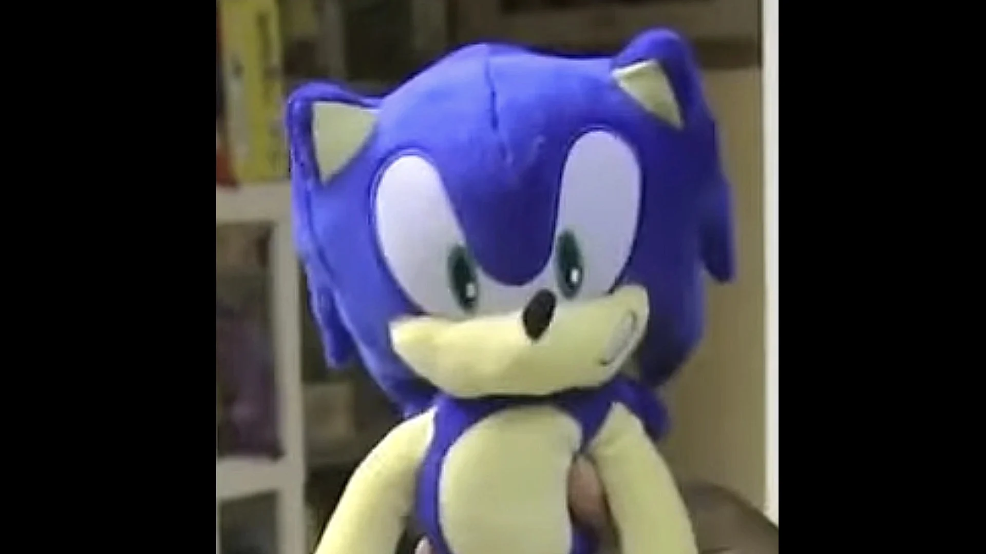 Sonic The Hedgehog (SML / SuperMarioLogan)