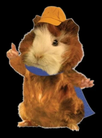 Linny The Guinea Pig (Wonder Pets: Save The Sea Creatures)
